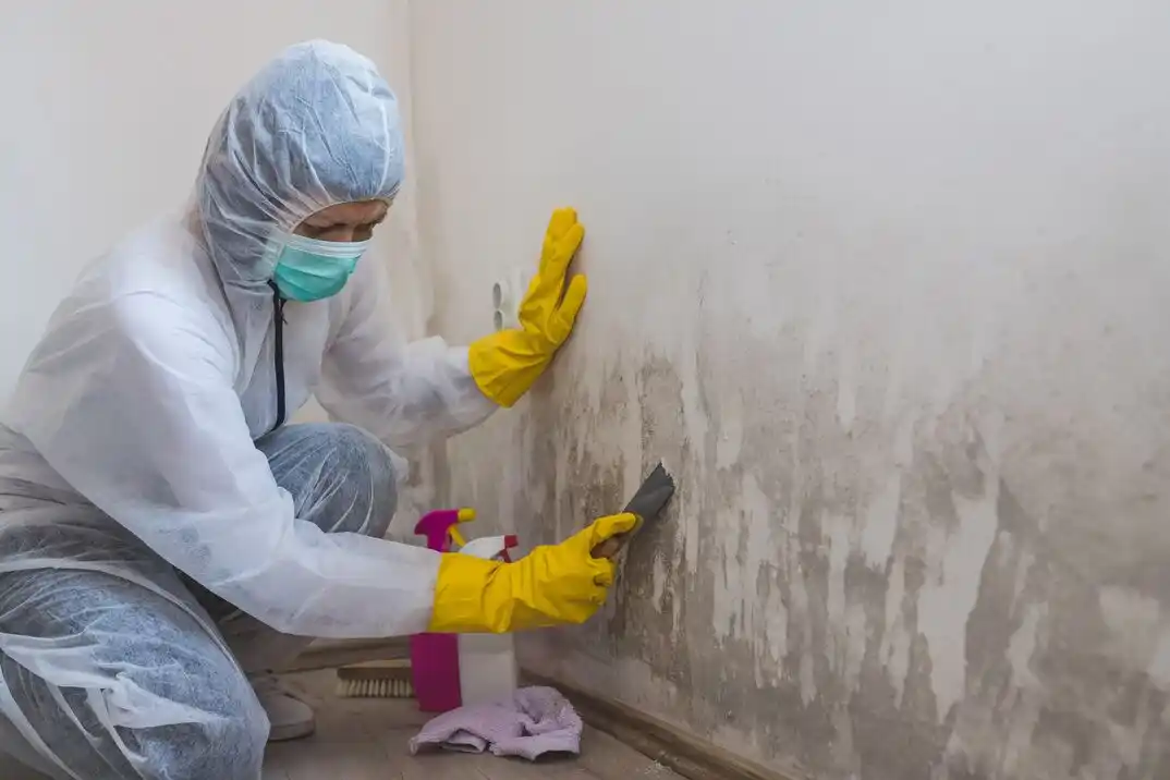 water damage restoration service Forest Service/Mt. SI